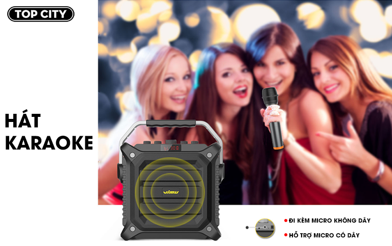 Loa Karaoke xách tay 100W W-King K3H