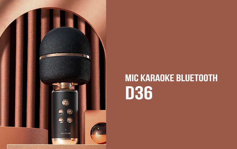 Mic hát Karaoke cầm tay kết nối Bluetooth D36 1
